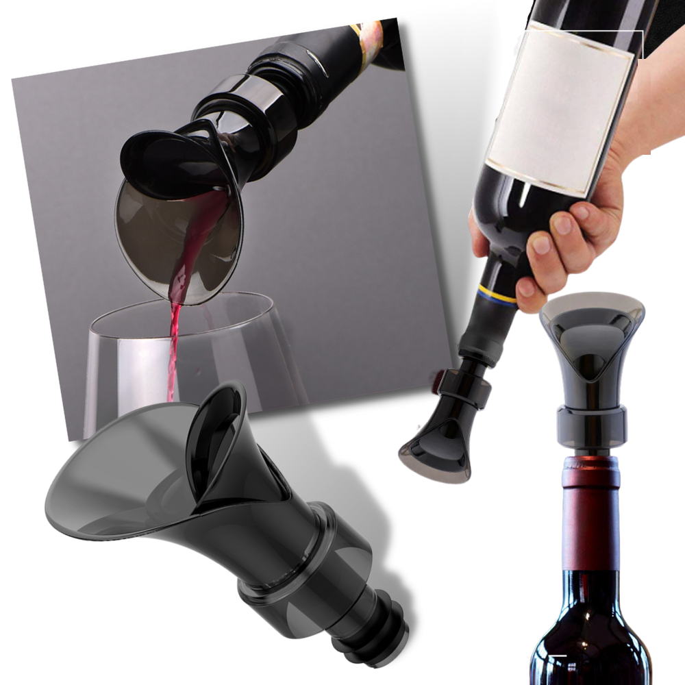 2 in 1 Wine Decanter and Seal