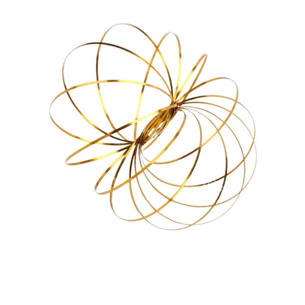 3D Stainless Arm Slinky