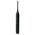 Adult Sonic Electric Toothbrush