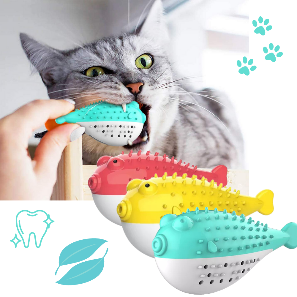 Fish shaped refillable cat toothbrush