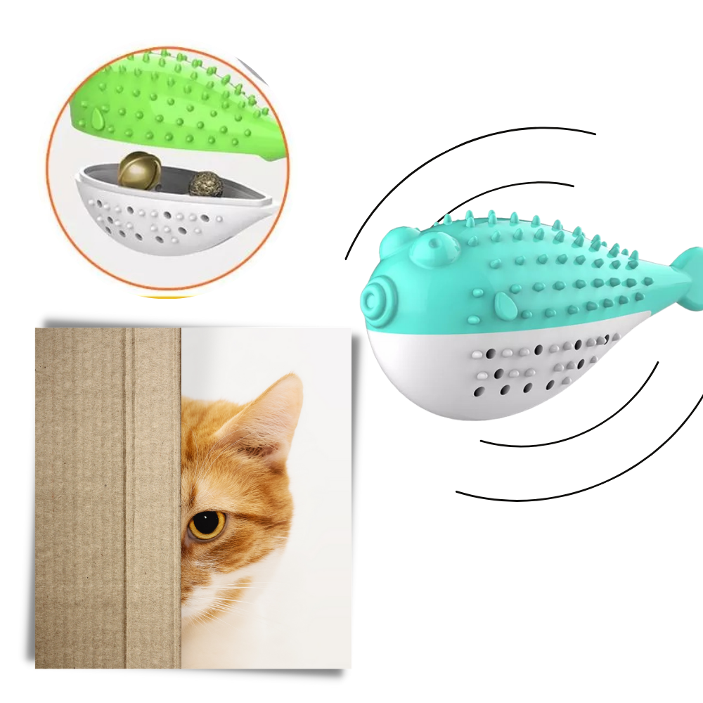 Fish shaped refillable cat toothbrush