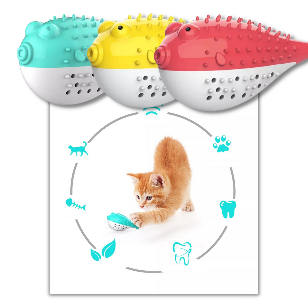 Fish shaped refillable cat toothbrush