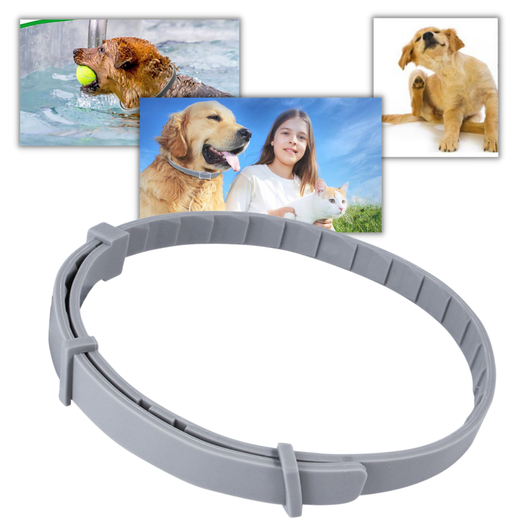 Anti-Flea Collar for Pets