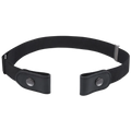 Buckle Free Elastic Belt
