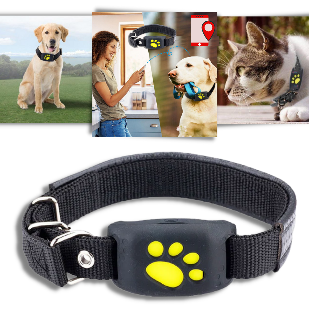 GPS Tracking Collar for Pets