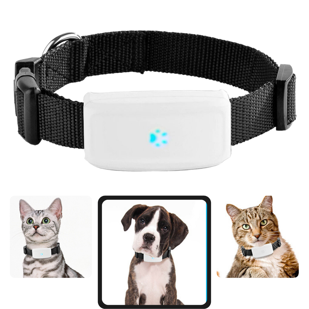 Pet GPS Tracking Collar