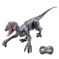 Remote Control Dinosaur Toy