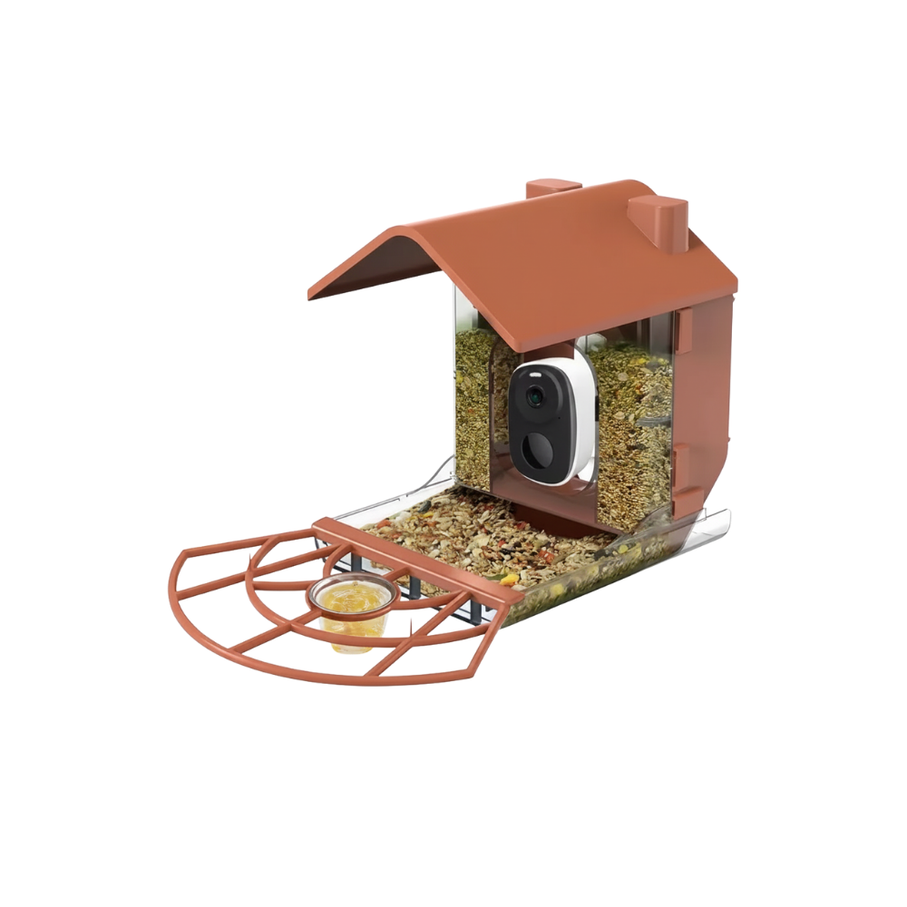 AI Solar Bird Feeder