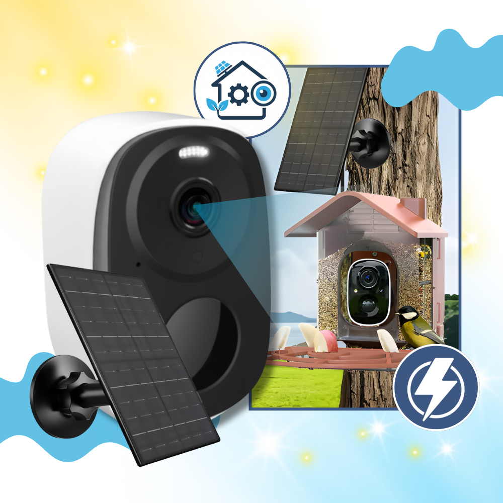 AI Solar Bird Feeder