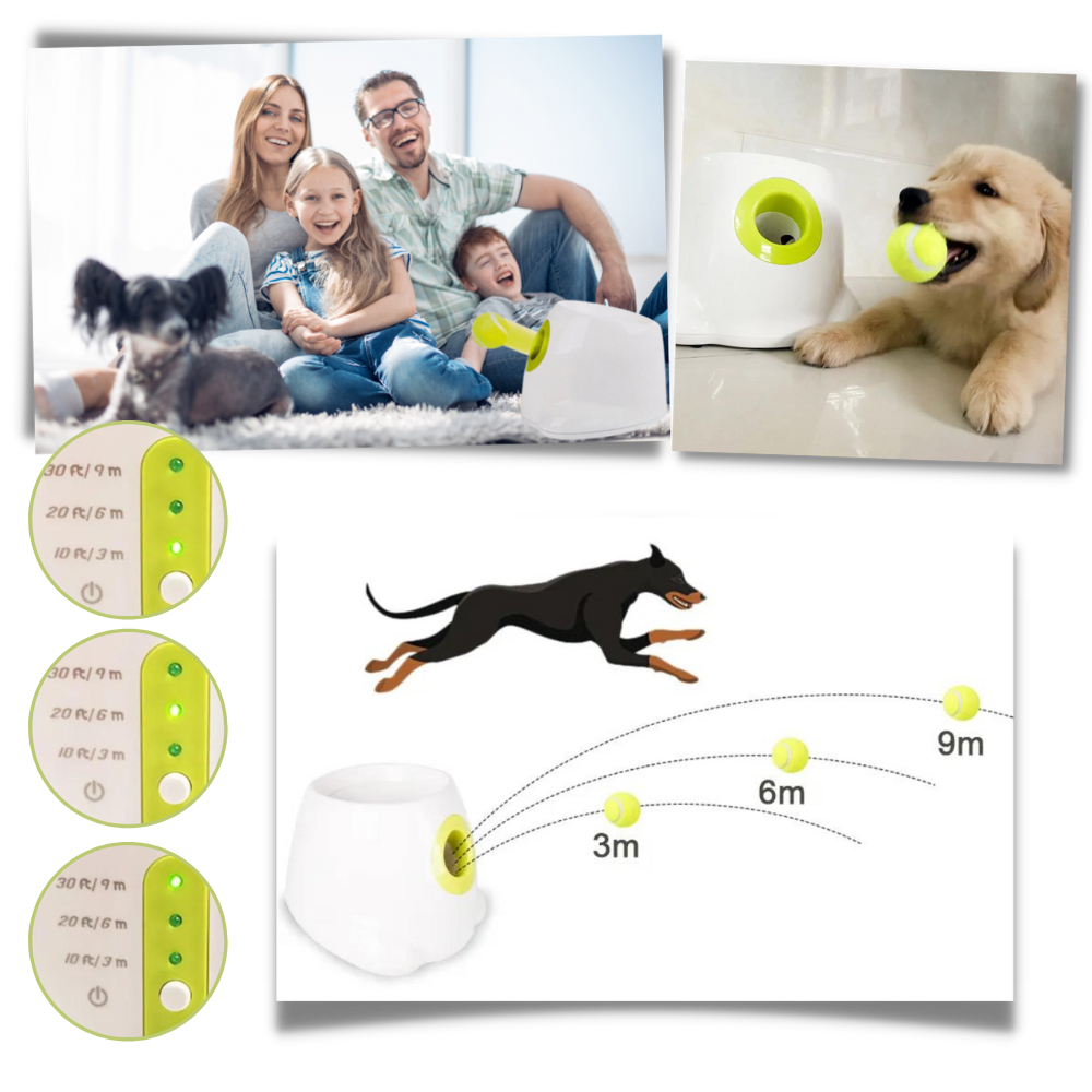 Automatic Dog Ball Launcher