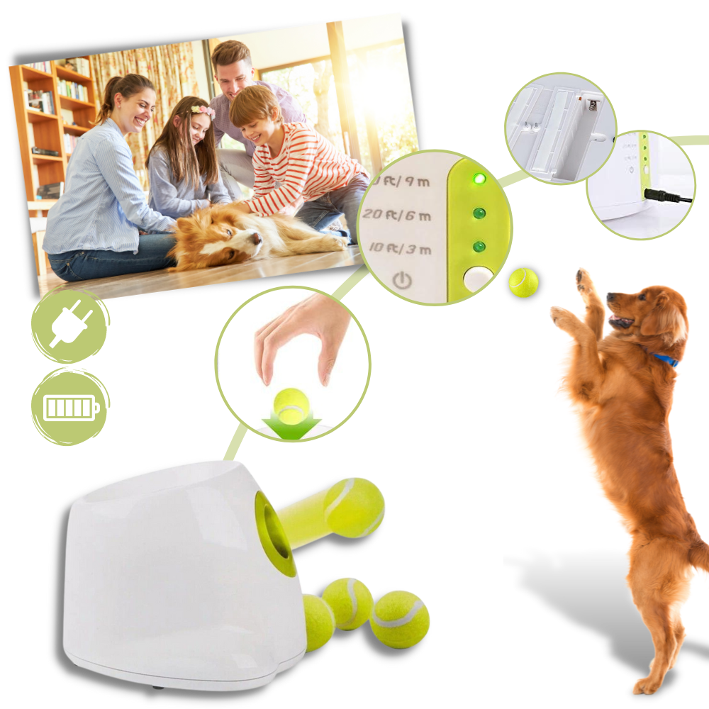 Automatic Dog Ball Launcher