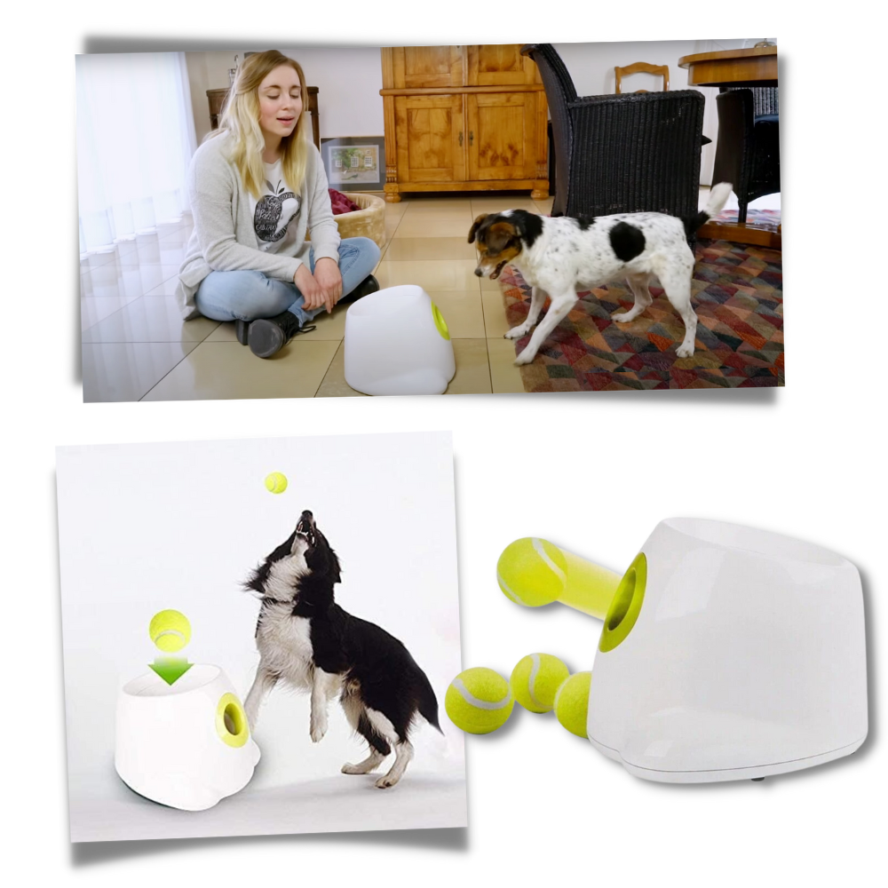 Automatic Dog Ball Launcher