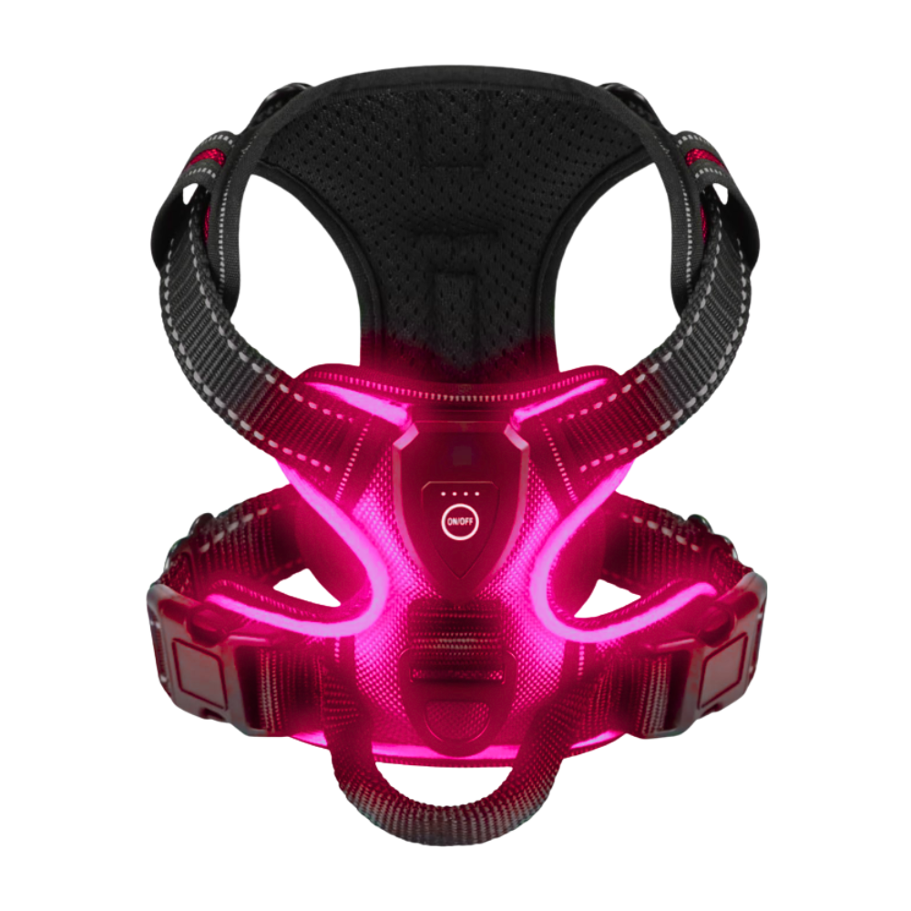 Blink LED Light Dog Harness