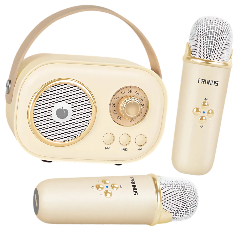 Bluetooth Dual Mic Kids Mini Karaoke