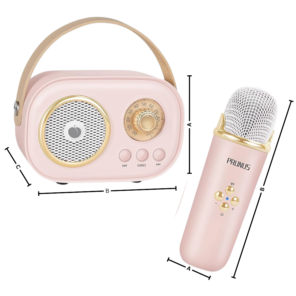 Bluetooth Dual Mic Kids Mini Karaoke