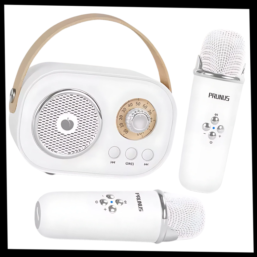 Bluetooth Dual Mic Kids Mini Karaoke