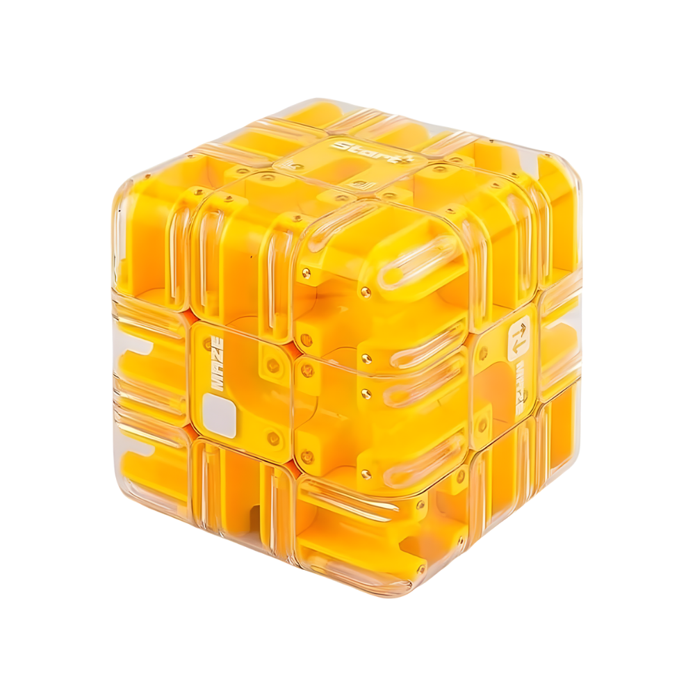 Brain Builder Maze Cube