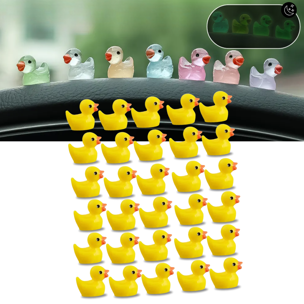 Cute Duck Challenge Toy