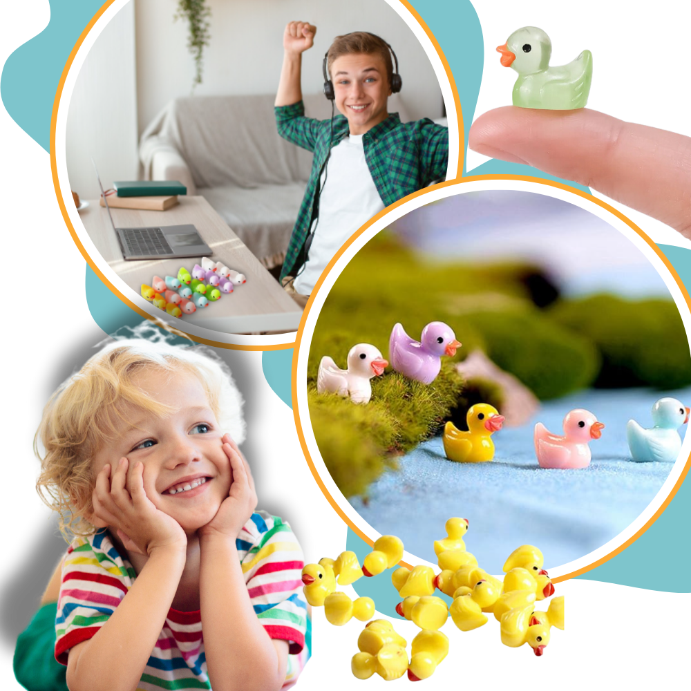Cute Duck Challenge Toy