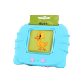 Educational Talking Flash Cards