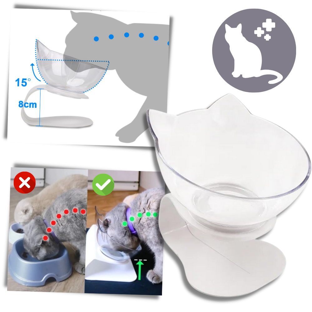 Elevated Comfort Bowl for Cats