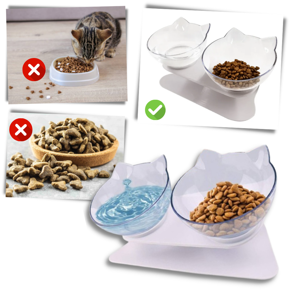 Elevated Comfort Bowl for Cats