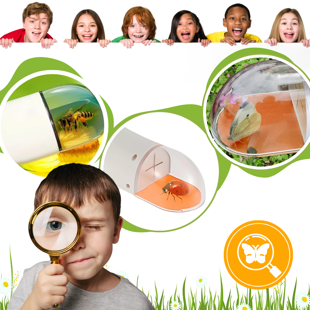 HD Viewing Insect Trap