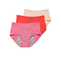 High Waisted Incontinence Panty