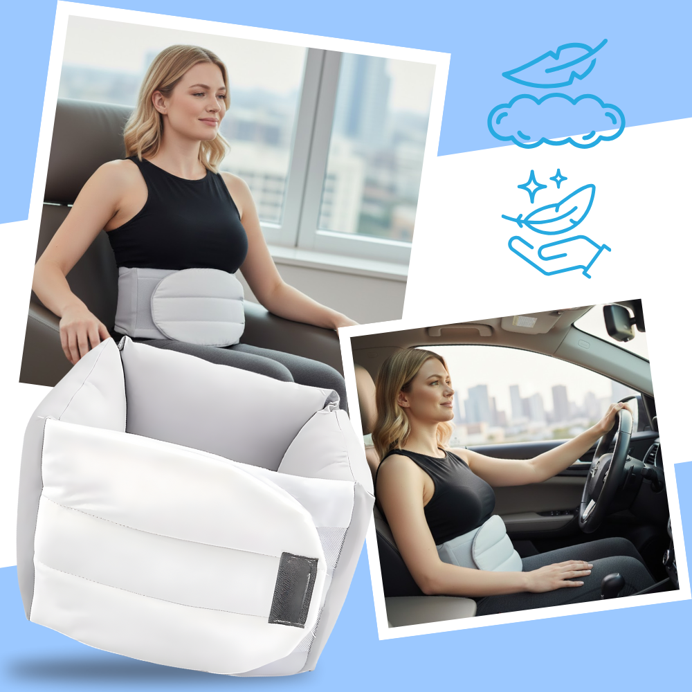Ice Silk Back Support Brace