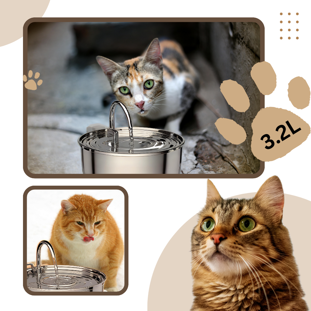Large Capacity Cat Drinking Fountain