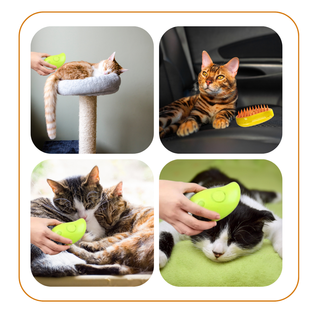 Multi-function Cat Slicker Brush