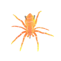 Natural Movement Spider Lures
