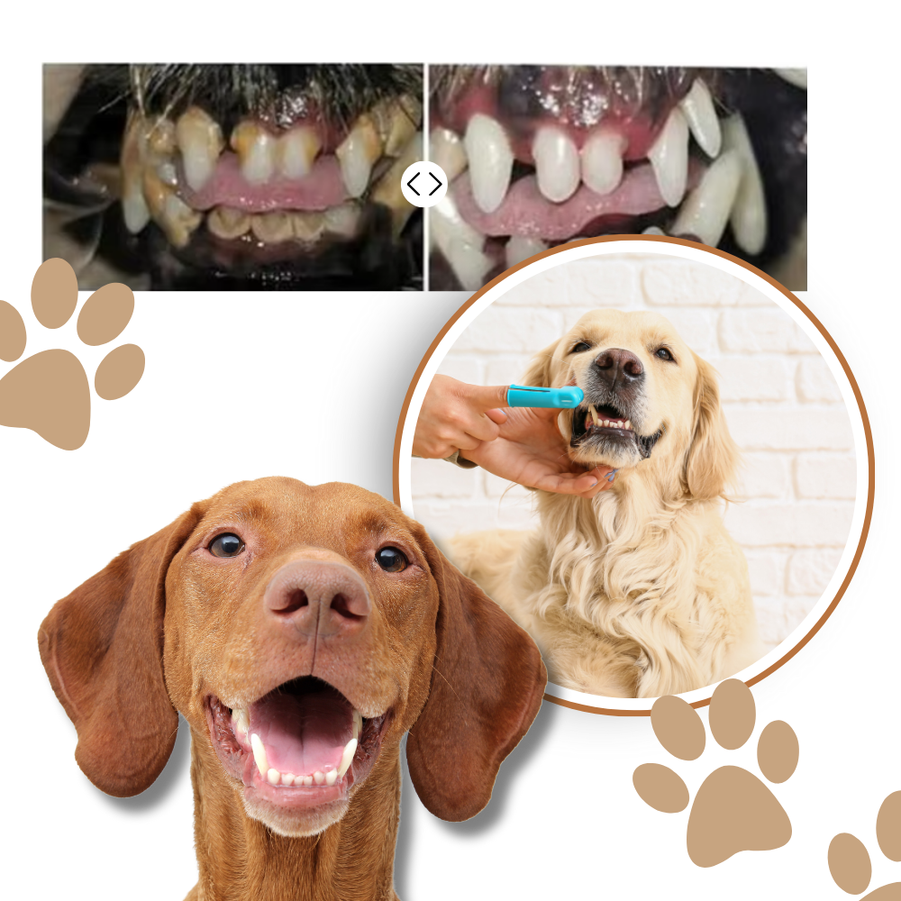 Natural Pet Oral Repair Gel
