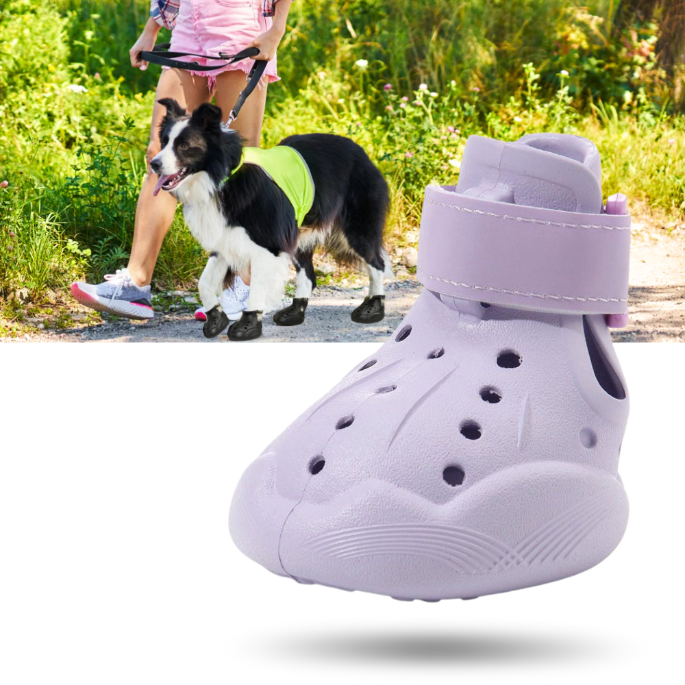 Paw Guard Boots