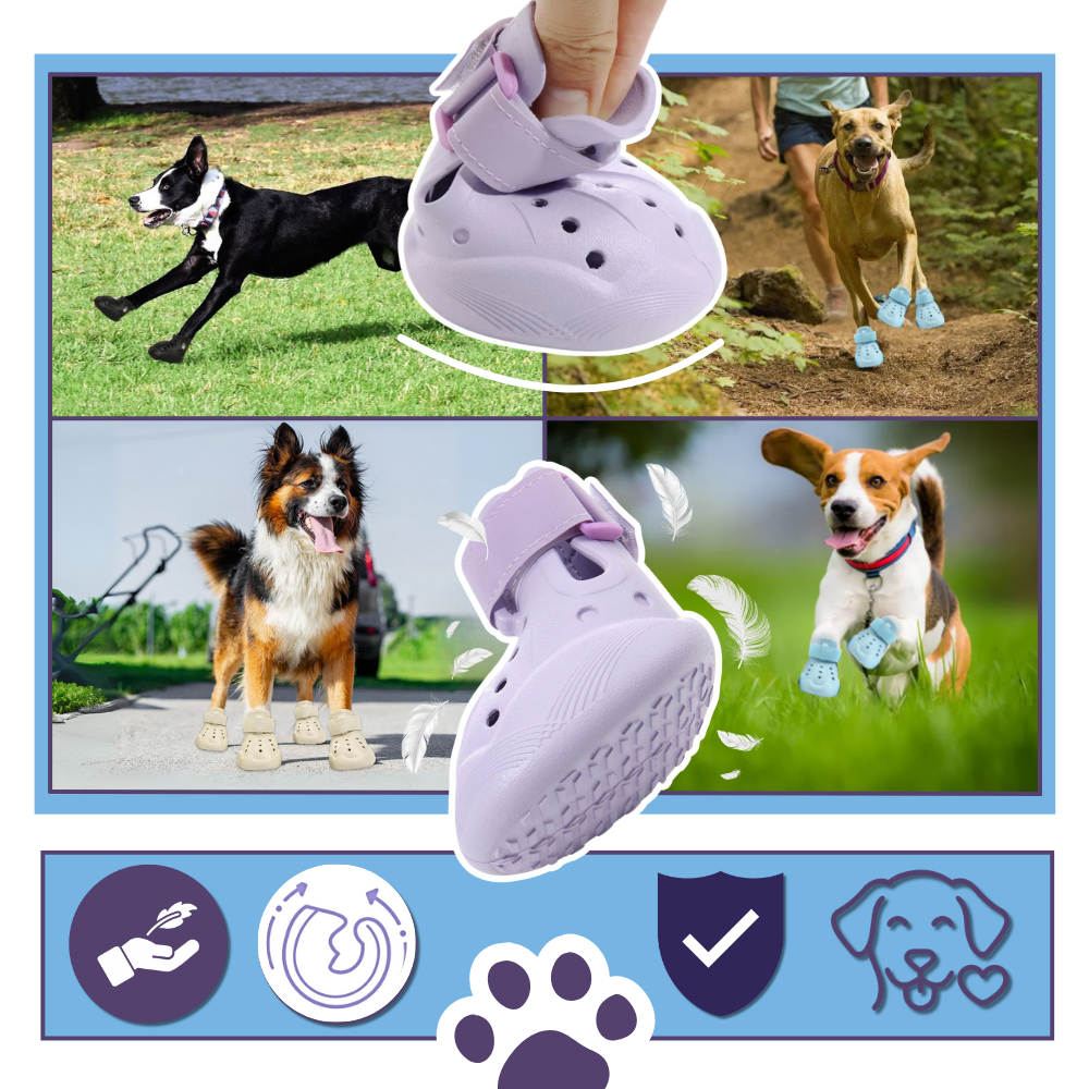Paw Guard Boots