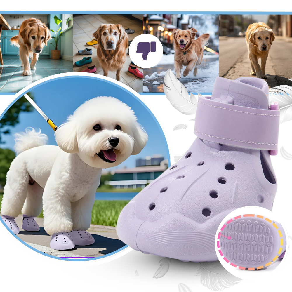 Paw Guard Boots