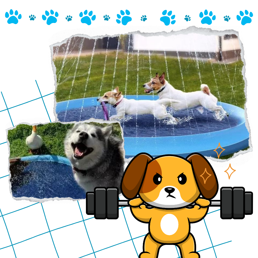 Portable Dog Splash Pad