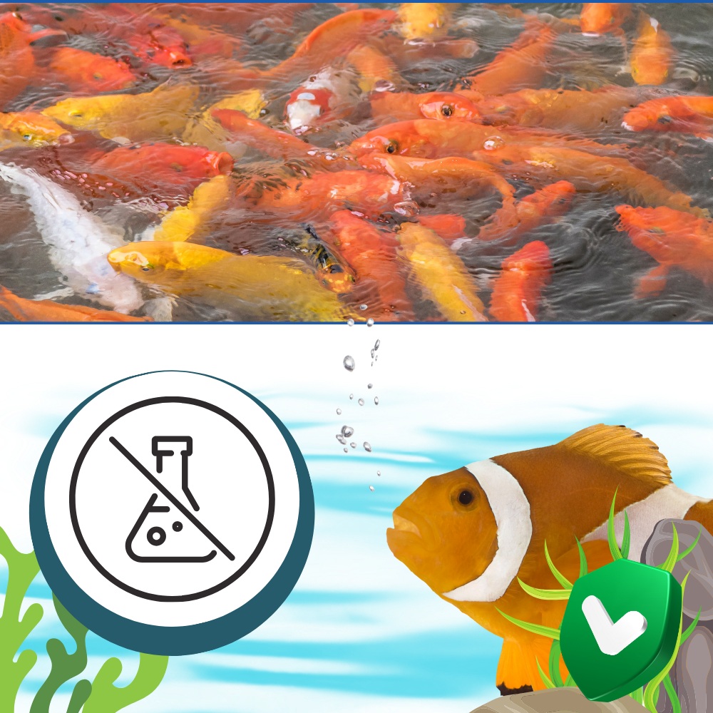 Preventive Aquarium Algaecide
