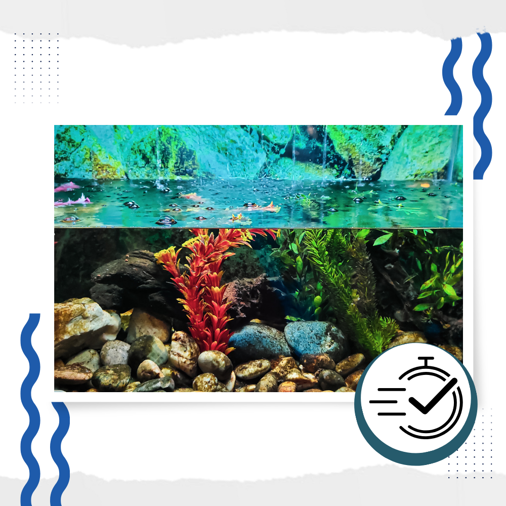 Preventive Aquarium Algaecide