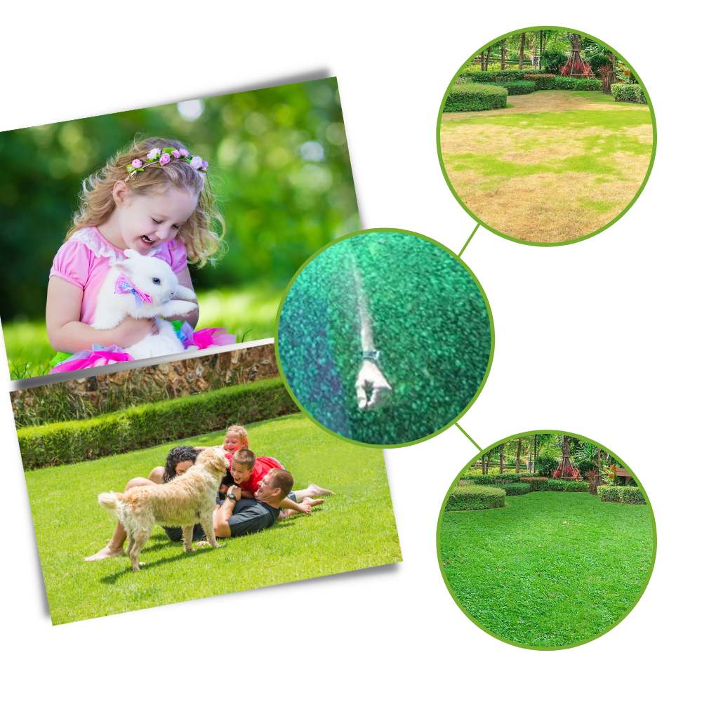 Revitalizing Lawn Grass Spray