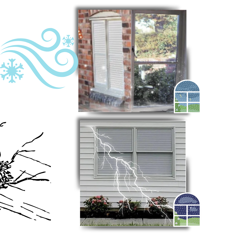 Safety Precision One Way Blinds
