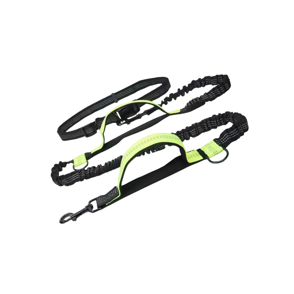 Secure & Ergonomic Dog Waist Leash