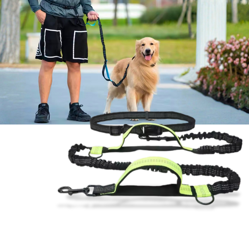 Secure & Ergonomic Dog Waist Leash