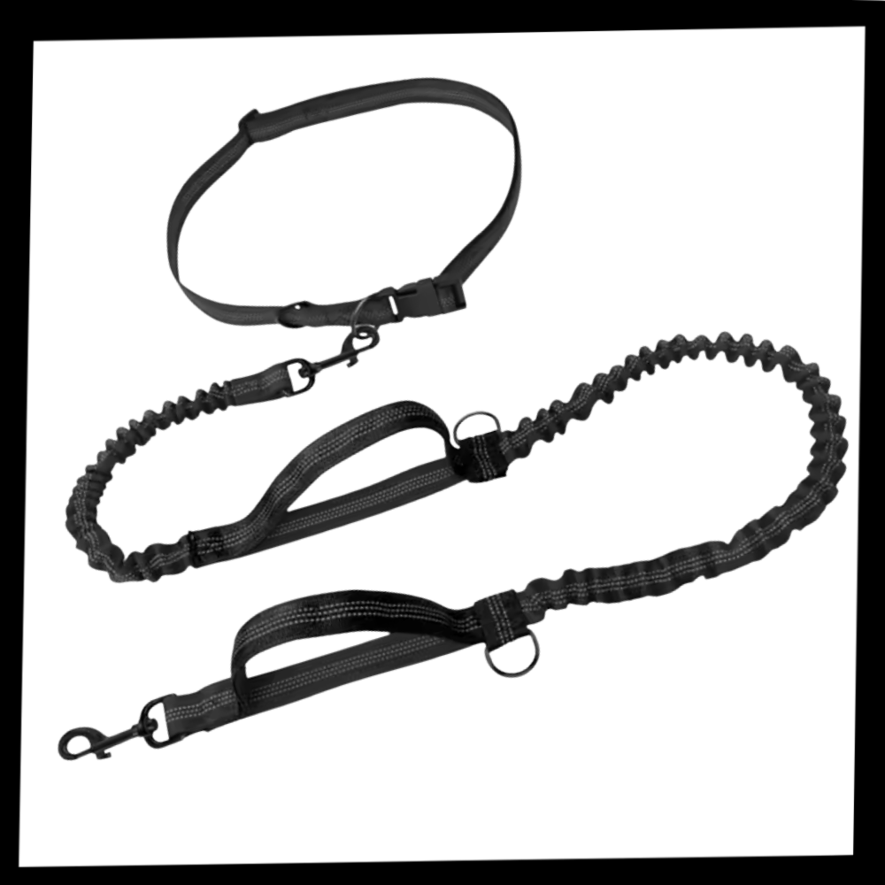 Secure & Ergonomic Dog Waist Leash