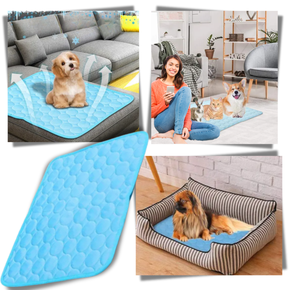 Silk Pet Cooling Pad