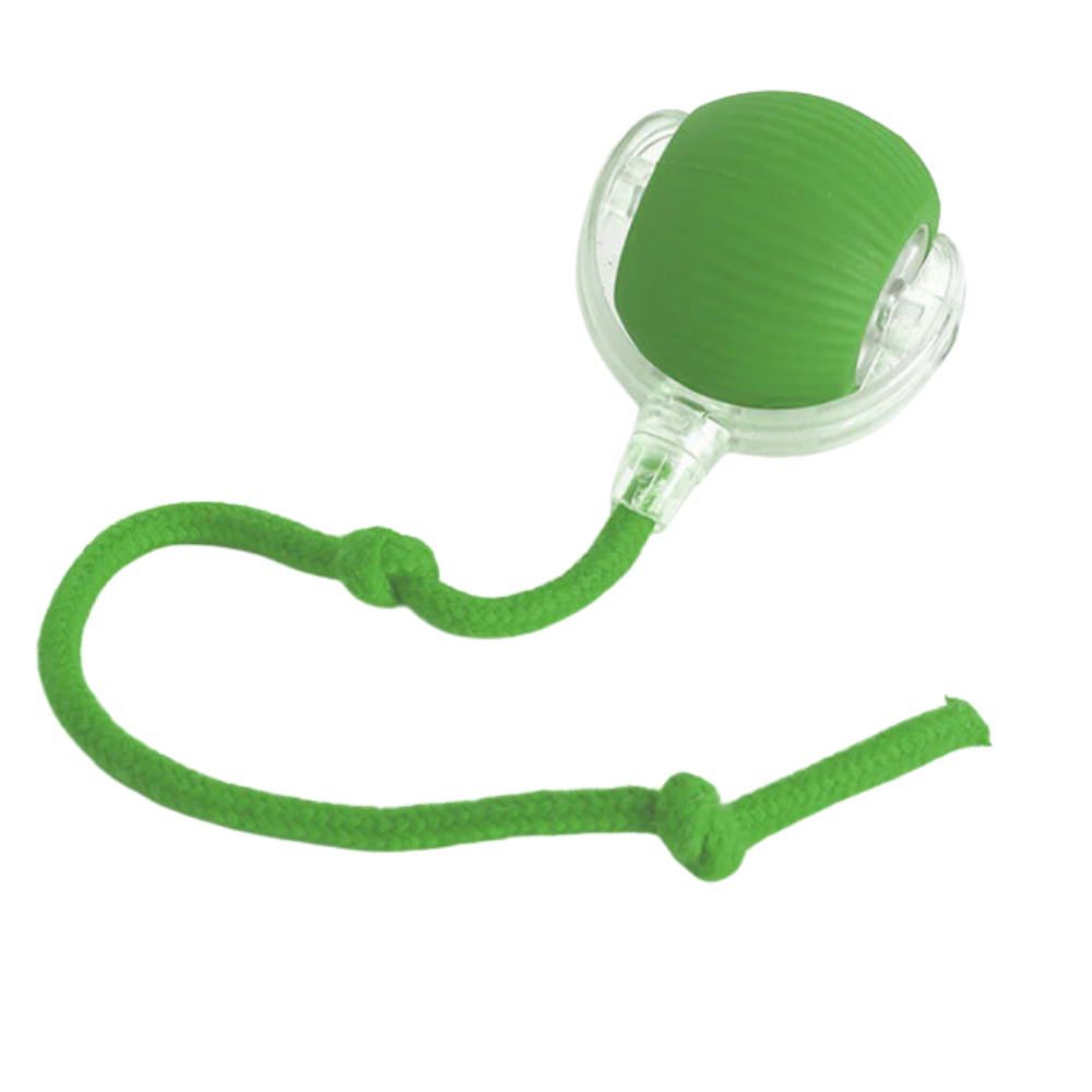 Smart Interactive Cats Ball Toy
