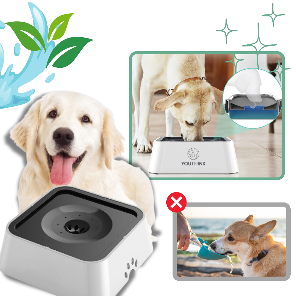 Splash-Free Water Bowl For Dogs