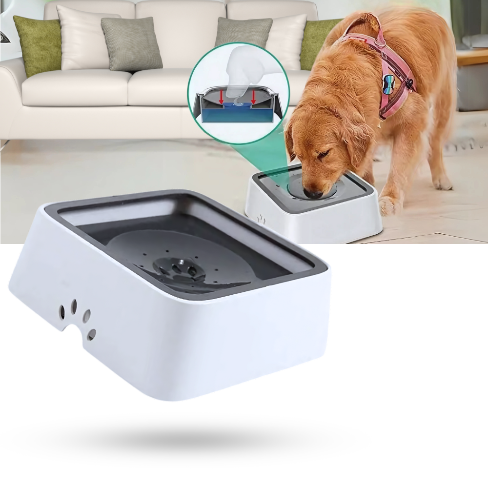 Splash-Free Water Bowl For Dogs