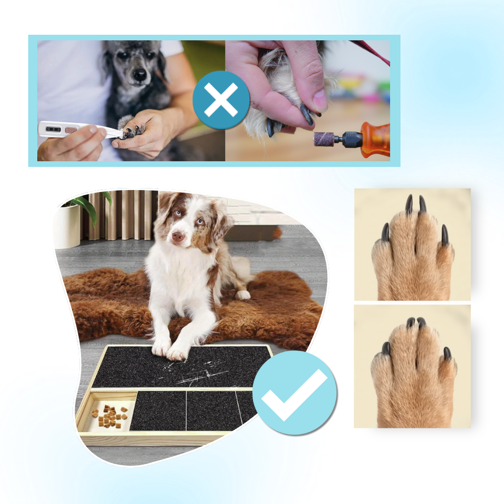 Stress Free Treats Dog Nail Scratch Board