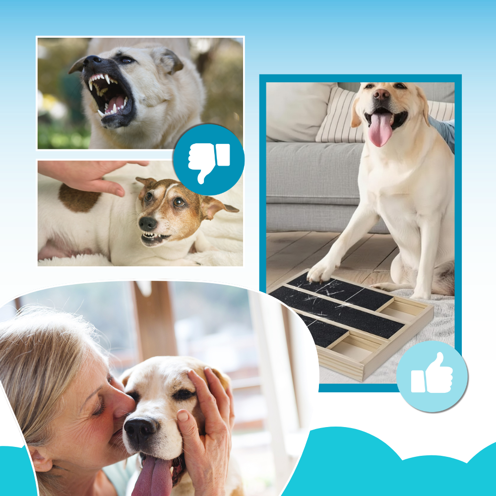 Stress Free Treats Dog Nail Scratch Board